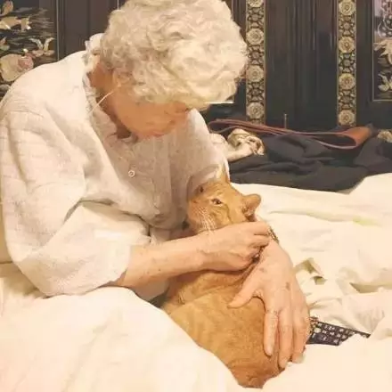 奶奶手酸到医院检查，医生问是否干了重活。奶奶：家里有一只胖猫