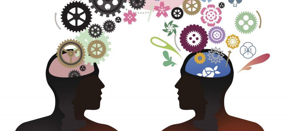 发展原理：心理学理论，基本方法