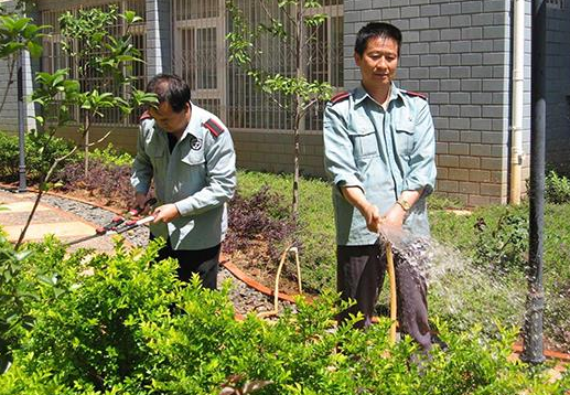 越来越多的人支持取消物业，是不想交物业费吗？答案很真实