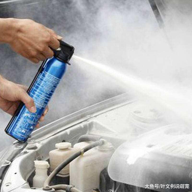 驾照1分没扣，却被吊销了？交警：谁叫你没看驾照上“这4个字”