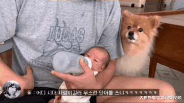 主人告诉大白狗，宝宝是它的“妹妹”，结果态度就不一样了