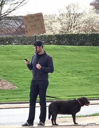 路遇走失狗狗，暖心男子举牌陪它站两天，终于奇迹出现了……