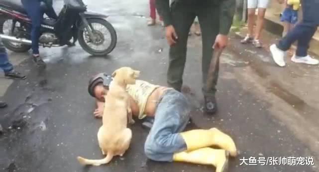 网友出门买早餐，发现一醉汉躺路中央，一旁狗狗的举动让人暖心