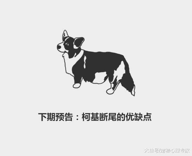 59秒冷盘点：猫咪咳嗽原因分两种，治疗方法也不同，先诊断很重要
