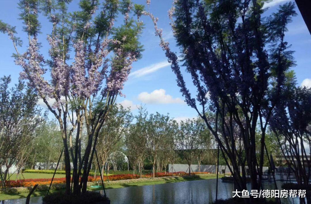 一览德阳水当当的楼盘，臭水沟和水景设计还是有区别的