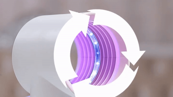 中国又一发明！纯物理的“万能灭蚊器”，让你天天帮蚊子收尸体