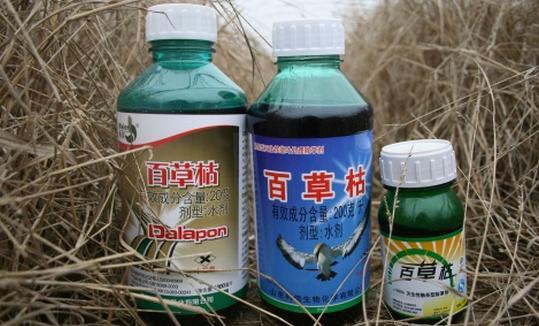 農民注意了，這樣常用物品已被“全國禁用”，違反一次罰金1000元