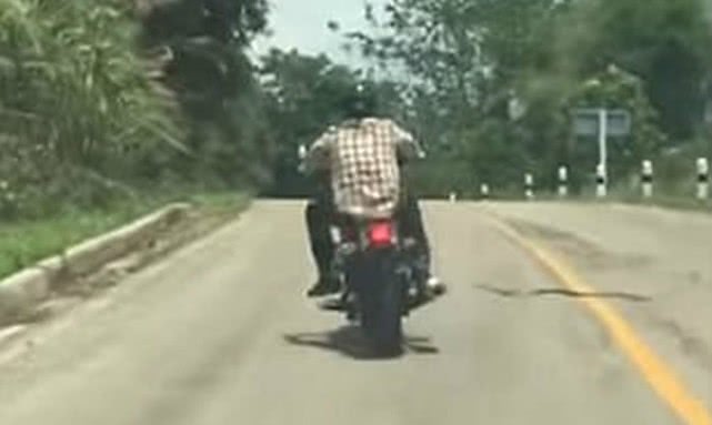 小哥半路行驶遭毒物攻击，幸运躲过，回到家心情都难以平复