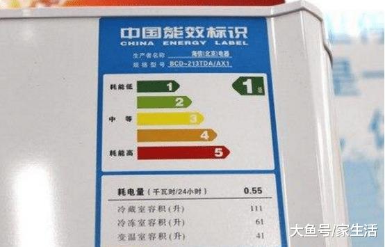 买冰箱切记要看这几个参数，不少人只考虑价格，入住才知白费钱