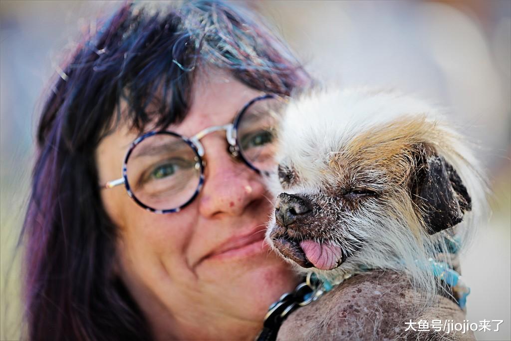 世界最丑狗大赛如期举办，一个看似荒诞的比赛背后却有更深的意义