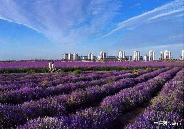 甘肃被“低调”的城市，房价让外地人非常羡慕，却很少有人知道