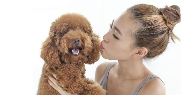 养狗的好处、坏处大盘点, 看看哪个对你更重要吧!