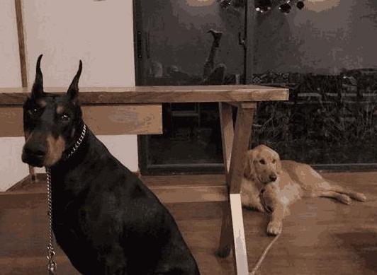 晒晒乐嘉现实的豪宅，家里连件像样的家具都没有，生活过得很节俭