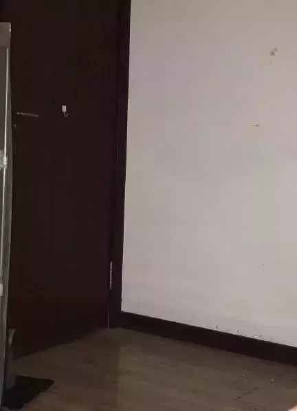 图中藏有喵星人, 如果7秒内找出4张的人, 空军都佩服!
