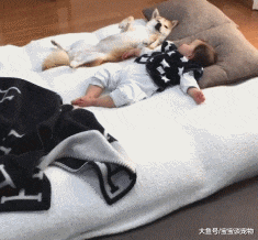 狗狗和孩子相处的画面……这大概就是天使遇上天使吧！