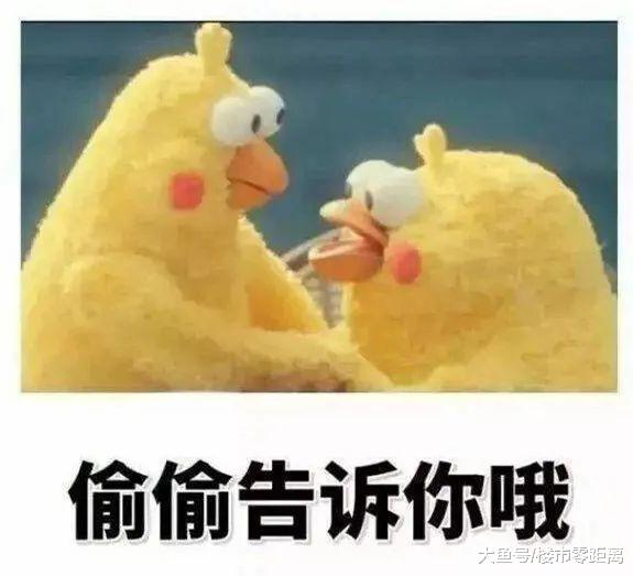 拿地半年，城南新盤35000元/㎡火速上市！開發商最新生存守則：賺快錢！