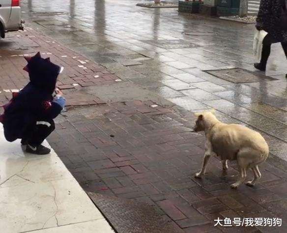 跟他爸要了錢去買小饅頭就沒回來，找到他的時候和狗吃的正歡！