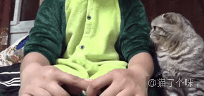 铲屎官想钻进纸箱和猫咪一起玩，结果……