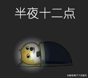 网友把摄影机绑在了狗狗头上，见证了自己求婚的一刻