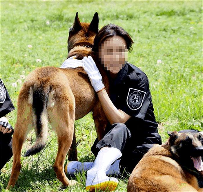 警犬是威严的，你害怕警犬吗？和警犬握个手会有什么后果？