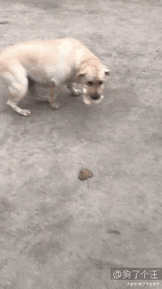 我对食物的渴望，超乎你的想象