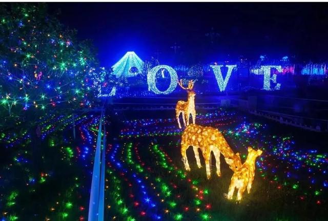 走心了！爱上乐从的N个理由，最重要是它有……