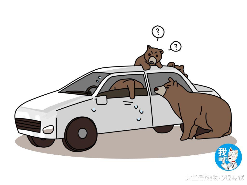 全家人去郊外度假，回头取车的时候愣是不敢靠近：史上最强碰瓷