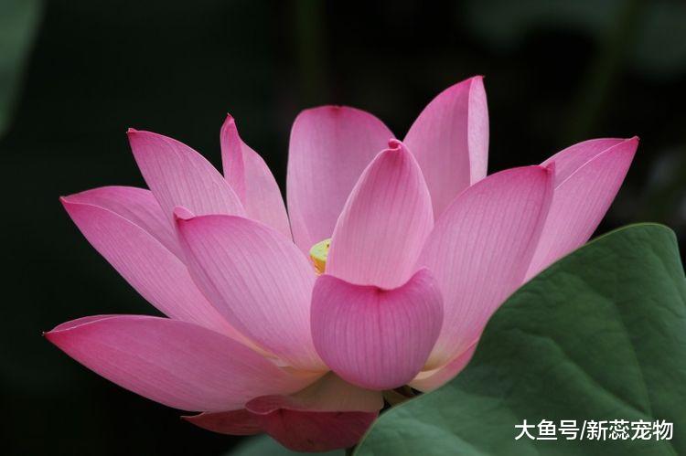 到了10月份，3生肖迎来一波大好运，贵人提拔，迎来大翻身！