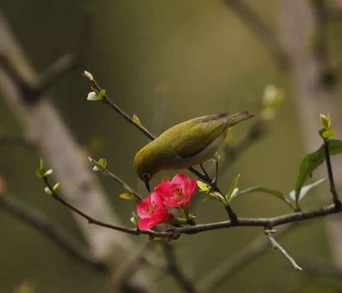 城里的候鸟，是你是我也是他