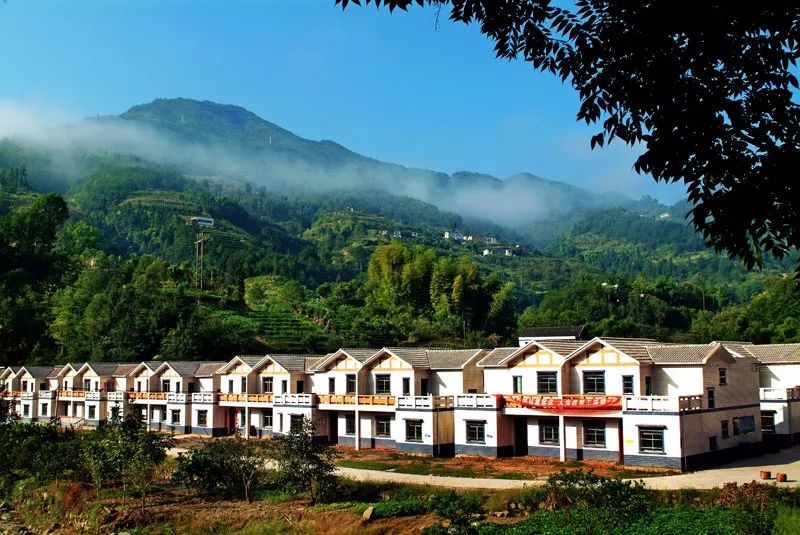 万州农村有宅基地、有房的恭喜了！国家正式发布