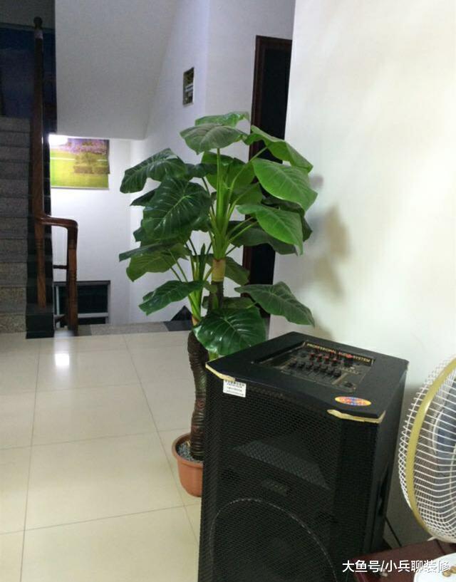 晒晒娘家的农村自建房，温馨舒适，娘家才是永远的家！