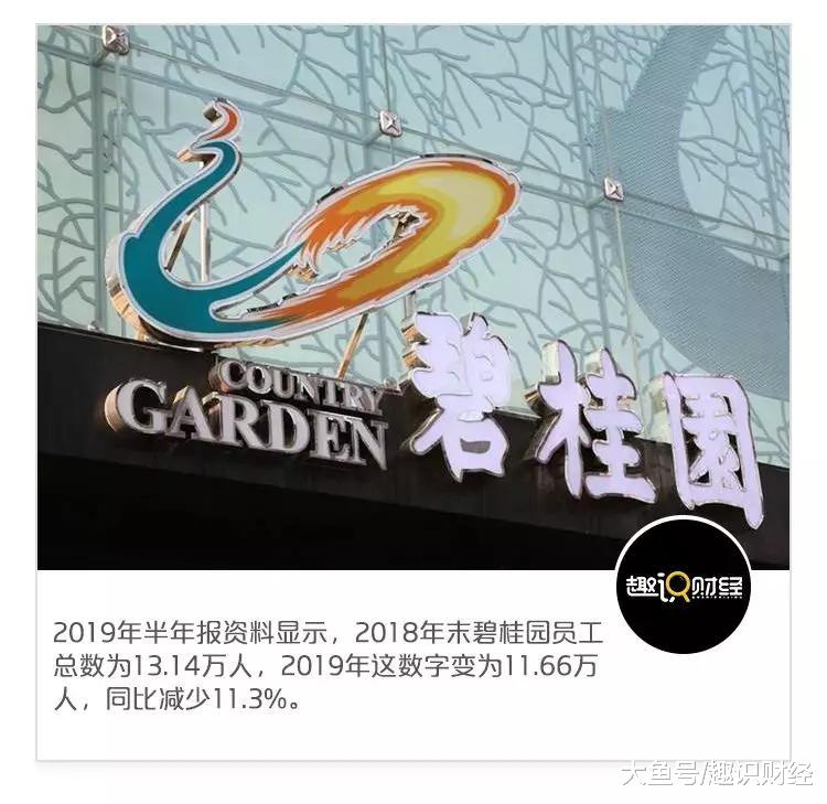 高管辞任万人被裁，碧桂园“高周转”模式的功与过