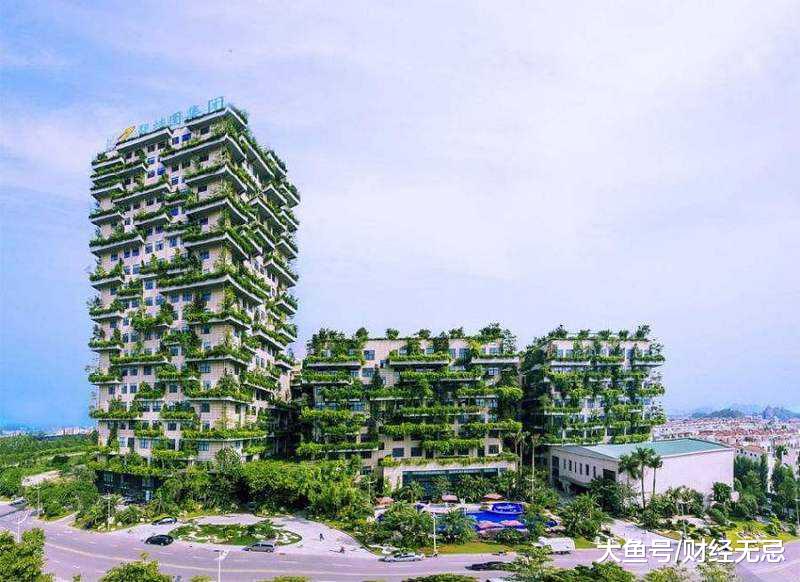 解读半年报：碧桂园，强者恒强