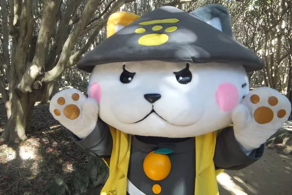 日本喵寺庙小猫众多，被誉为撸猫圣地