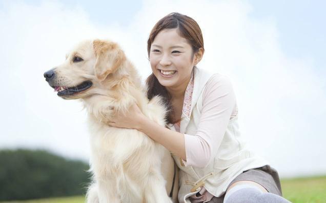 辟谣：别再说金毛养不熟了，这6种行为，中两种以上就没有白养！