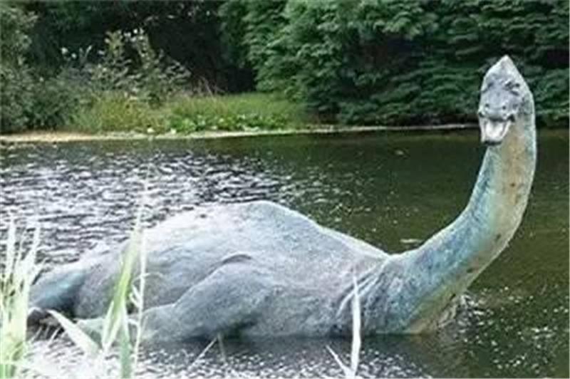 盘点三种神秘未知的生物，第一曾有人拍到？你听说过几个？