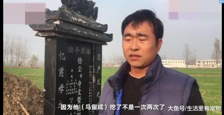 祖坟被挖三回, 儿子打死毁坟者, 究竟多大的仇恨?