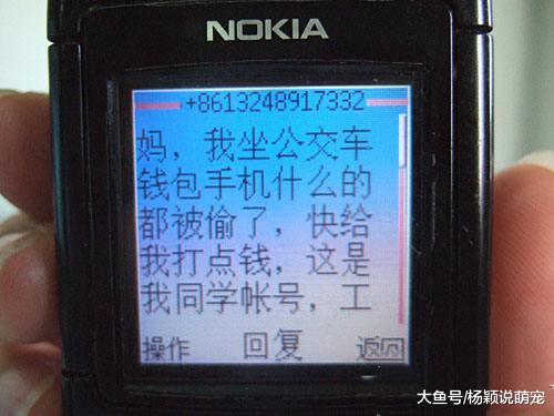 女子高考完收到了短信通知，随手回了几句，对面的骗子被气的吐血