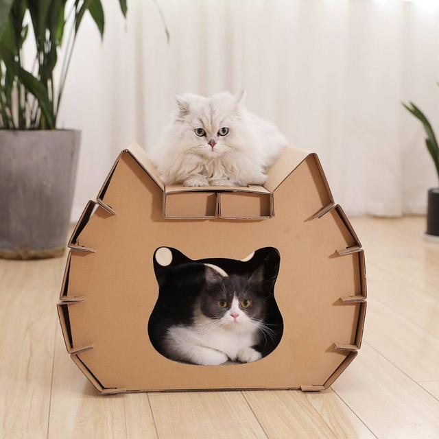 猫咪最喜欢的4样玩具，你们家都准备了哪些？