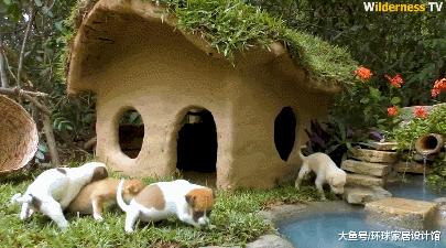 超硬核！为给四只小奶狗一个家，小哥徒手造了一栋别墅！