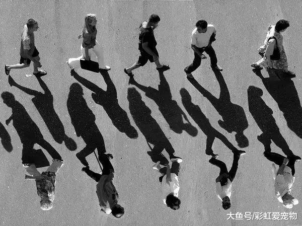 请大家一定看二次，著名的清华大学教授王洪亮的一段话！好经典！