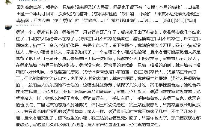 难忘的儿时萌宠您有吗？俺的小黄狗喝偷尝老爸的汤，俺一直没敢说