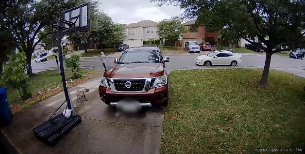 狗狗摇尾巴看主人，只是出门散步，为什么要绑我在路边？