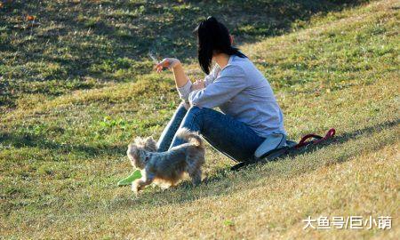 二手烟的危害不仅仅是对人，对狗也有影响，看看你家有无中招