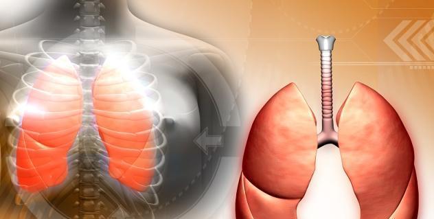 肺不好，常吃这3个“小食材”，或许能润肺化痰，给肺“洗洗澡”