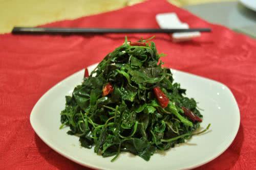 极力推荐: 这种野草的价值, 高到令人难以置信。你家门口就有。