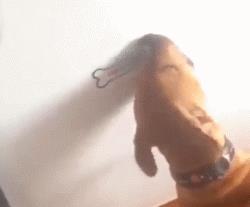 搞笑GIF ：玩了一圈，女朋友不见了