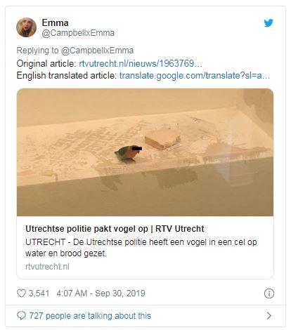 无辜小鸟被警察逮捕，电视台报道还「上黑条」，网友捂脸