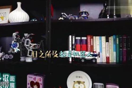 韩雪曝出自己住的房子，装修把阳台改成饭桌，这种设计太有创意了