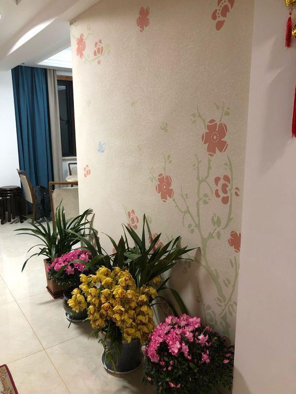 参观表叔吹嘘的40万豪装新家，效果确实很豪华，但却欣赏不来！